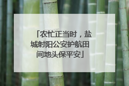 农忙正当时，盐城射阳公安护航田间地头保平安