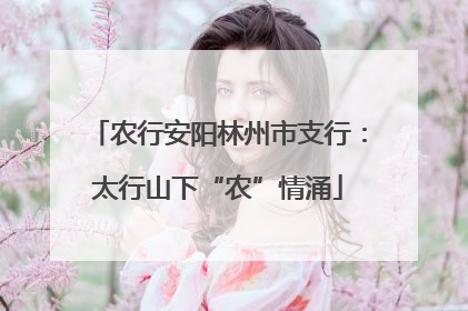 农行安阳林州市支行：太行山下“农”情涌