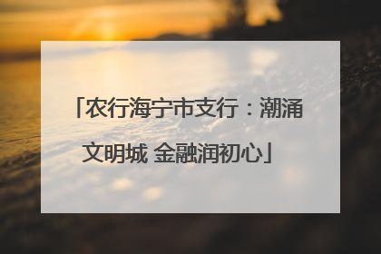 农行海宁市支行：潮涌文明城 金融润初心