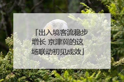 出入境客流稳步增长 京津冀的这场联动初见成效
