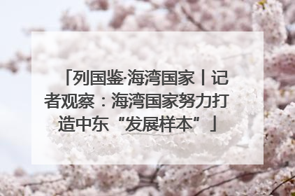 列国鉴·海湾国家丨记者观察：海湾国家努力打造中东“发展样本”