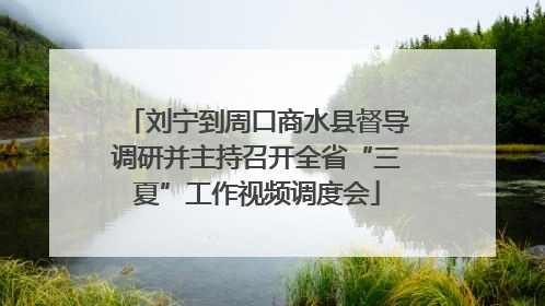 刘宁到周口商水县督导调研并主持召开全省“三夏”工作视频调度会