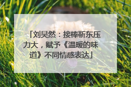 刘昊然：接棒靳东压力大，赋予《温暖的味道》不同情感表达