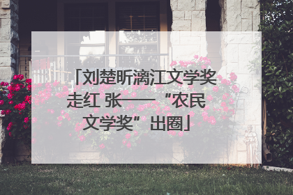 刘楚昕漓江文学奖走红 张一一“农民文学奖”出圈