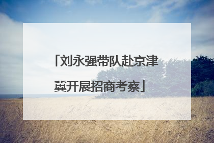 刘永强带队赴京津冀开展招商考察