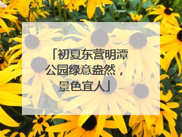 初夏东营明潭公园绿意盎然，景色宜人