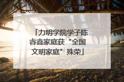力明学院学子陈睿鑫家庭获“全国文明家庭”殊荣
