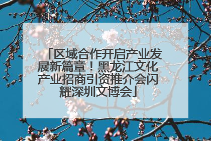 区域合作开启产业发展新篇章！黑龙江文化产业招商引资推介会闪耀深圳文博会
