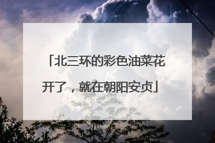 北三环的彩色油菜花开了，就在朝阳安贞