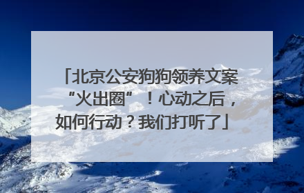 北京公安狗狗领养文案“火出圈”！心动之后，如何行动？我们打听了