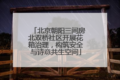北京朝阳三间房北双桥社区开展花箱治理，构筑安全与诗意共生空间