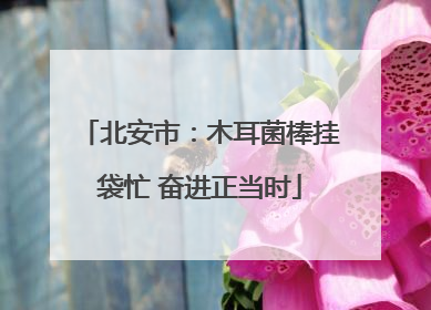 北安市：木耳菌棒挂袋忙 奋进正当时