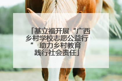 基立福开展“广西乡村学校志愿公益行” 助力乡村教育 践行社会责任