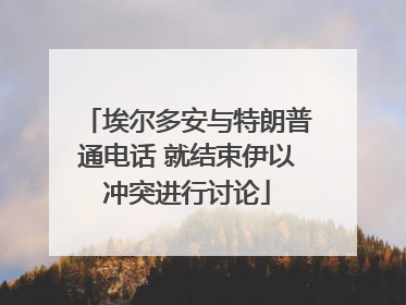 埃尔多安与特朗普通电话 就结束伊以冲突进行讨论