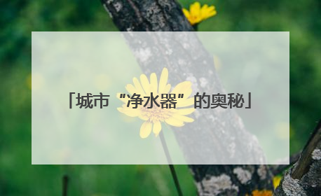 城市“净水器”的奥秘