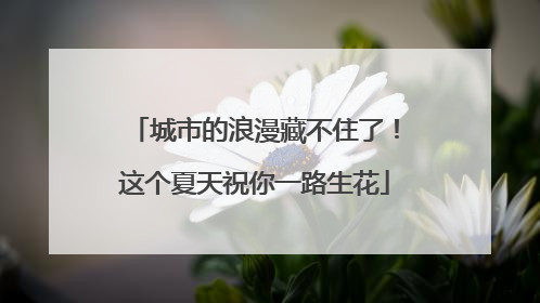 城市的浪漫藏不住了！这个夏天祝你一路生花