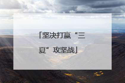 坚决打赢“三夏”攻坚战