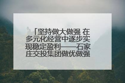 坚持做大做强 在多元化经营中逐步实现稳定盈利——石家庄交投集团做优做强典型报道之三