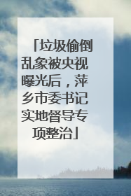 垃圾偷倒乱象被央视曝光后，萍乡市委书记实地督导专项整治