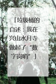 垃圾桶的自述：我在兴山水月寺做起了“数字岗哨”