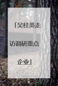 吴桂英走访调研重点企业