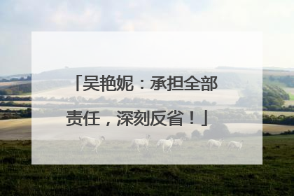 吴艳妮：承担全部责任，深刻反省！