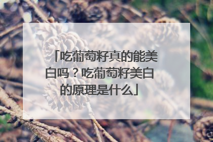 吃葡萄籽真的能美白吗？吃葡萄籽美白的原理是什么