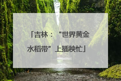 吉林：“世界黄金水稻带”上插秧忙