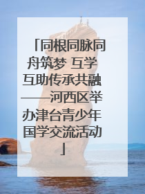 同根同脉同舟筑梦 互学互助传承共融——河西区举办津台青少年国学交流活动