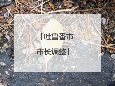吐鲁番市市长调整