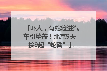 吓人，有蛇藏进汽车引擎盖！北京9天接9起“蛇警”