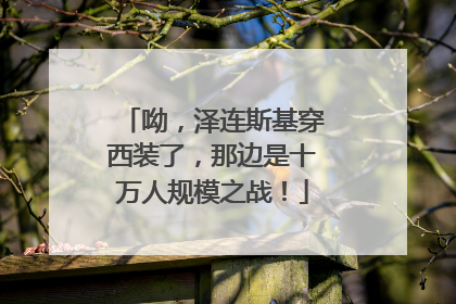 呦，泽连斯基穿西装了，那边是十万人规模之战！