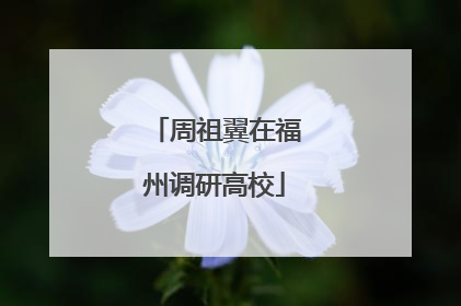周祖翼在福州调研高校