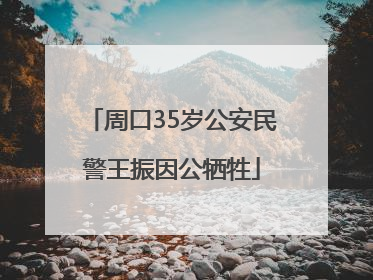 周口35岁公安民警王振因公牺牲