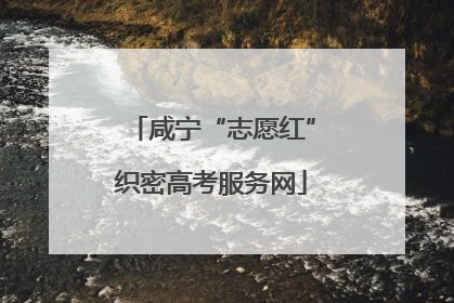 咸宁“志愿红”织密高考服务网
