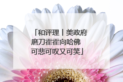和评理丨美政府磨刀霍霍向哈佛 可悲可叹又可笑