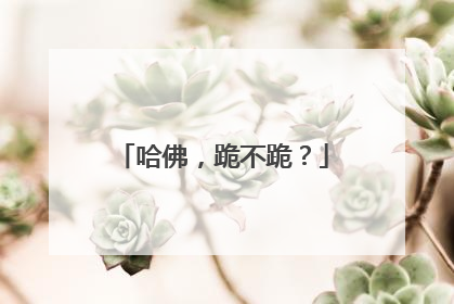哈佛，跪不跪？