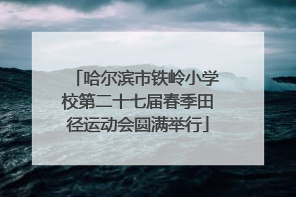 哈尔滨市铁岭小学校第二十七届春季田径运动会圆满举行