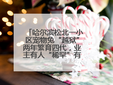 哈尔滨松北一小区宠物兔“越狱”两年繁育四代，业主有人“稀罕”有人忧，专家提醒