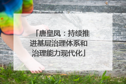唐皇凤：持续推进基层治理体系和治理能力现代化