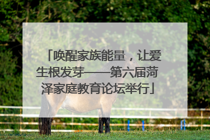 唤醒家族能量，让爱生根发芽——第六届菏泽家庭教育论坛举行