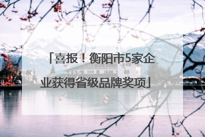 喜报！衡阳市5家企业获得省级品牌奖项