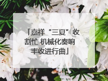 嘉祥“三夏”收割忙 机械化奏响丰收进行曲