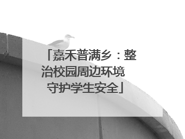 嘉禾普满乡：整治校园周边环境 守护学生安全