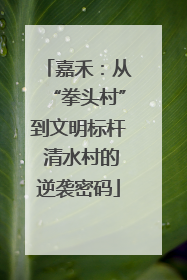 嘉禾：从“拳头村”到文明标杆 清水村的逆袭密码