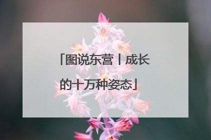 图说东营丨成长的十万种姿态