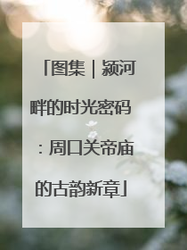图集｜颍河畔的时光密码：周口关帝庙的古韵新章