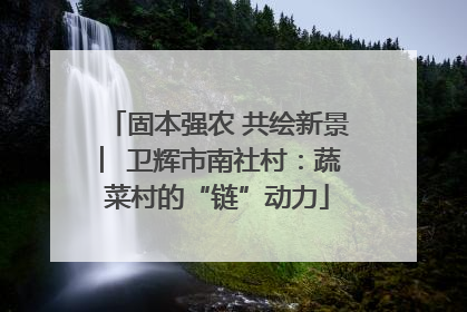 固本强农 共绘新景 ︳卫辉市南社村：蔬菜村的“链”动力
