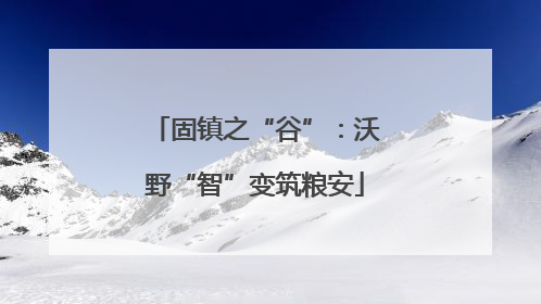 固镇之“谷”：沃野“智”变筑粮安