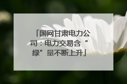 国网甘肃电力公司：电力交易含“绿”量不断上升